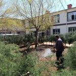 ADIYAMAN (PERRE) - Sibel TURAN-Çakırhüyük Belediyesi, yaz mevsimi öncesinde haşerelere karşı kapsamlı mücadele çalışmalarını başlattı.