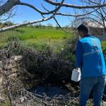 ADIYAMAN (PERRE) - Şeriban ÖZÇAKMAK - Adıyaman Belediyesi, yaz ayları öncesinde kent genelinde larva ve haşereyle mücadele çalışmalarına hız verdi.
