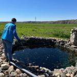 ADIYAMAN (PERRE) - Şeriban ÖZÇAKMAK - Adıyaman Belediyesi, yaz ayları öncesinde kent genelinde larva ve haşereyle mücadele çalışmalarına hız verdi.