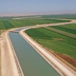 ADIYAMAN (PERRE) - Şeriban ÖZÇAKMAK - Adıyaman'da son yılların en kurak dönemlerinden biri yaşanırken, yağışların yetersizliği hem üreticiyi hem de tarımsal verimliliği tehdit ediyor.