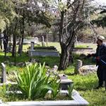 ADIYAMAN (PERRE) - Sibel TURAN-Çakırhüyük Belediyesi, yaz mevsimi öncesinde haşerelere karşı kapsamlı mücadele çalışmalarını başlattı.