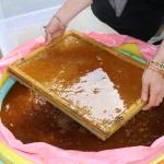 ADIYAMAN (PERRE) - Şeriban ÖZÇAKMAK-Berfin GÜRBÜZ - Adıyaman'da Eli Yaman Kadın Kooperatifi ile Fortuna Kadın Kooperatifi, "İkinci Hasat" projesi kapsamında tarımsal atık olan arpa saplarını işleyerek el yapımı kağıt üre...