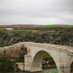 ADIYAMAN (PERRE) - Sibel TURAN-Besni Belediyesi öncülüğünde, Adıyaman İl Kültür ve Turizm Müdürlüğü, Besni Kaymakamlığı ve Besni Belediyesi iş birliğiyle düzenlenecek olan "Kızılin Kanyonları Bahar Şenlikleri", 18 Mayıs...