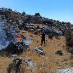 ADIYAMAN (PHA) - Adıyaman’ın Besni ilçesinde, kırsal alanda çıkan örtü yangını itfaiye ekipleri tarafından kontrol altına alındı.